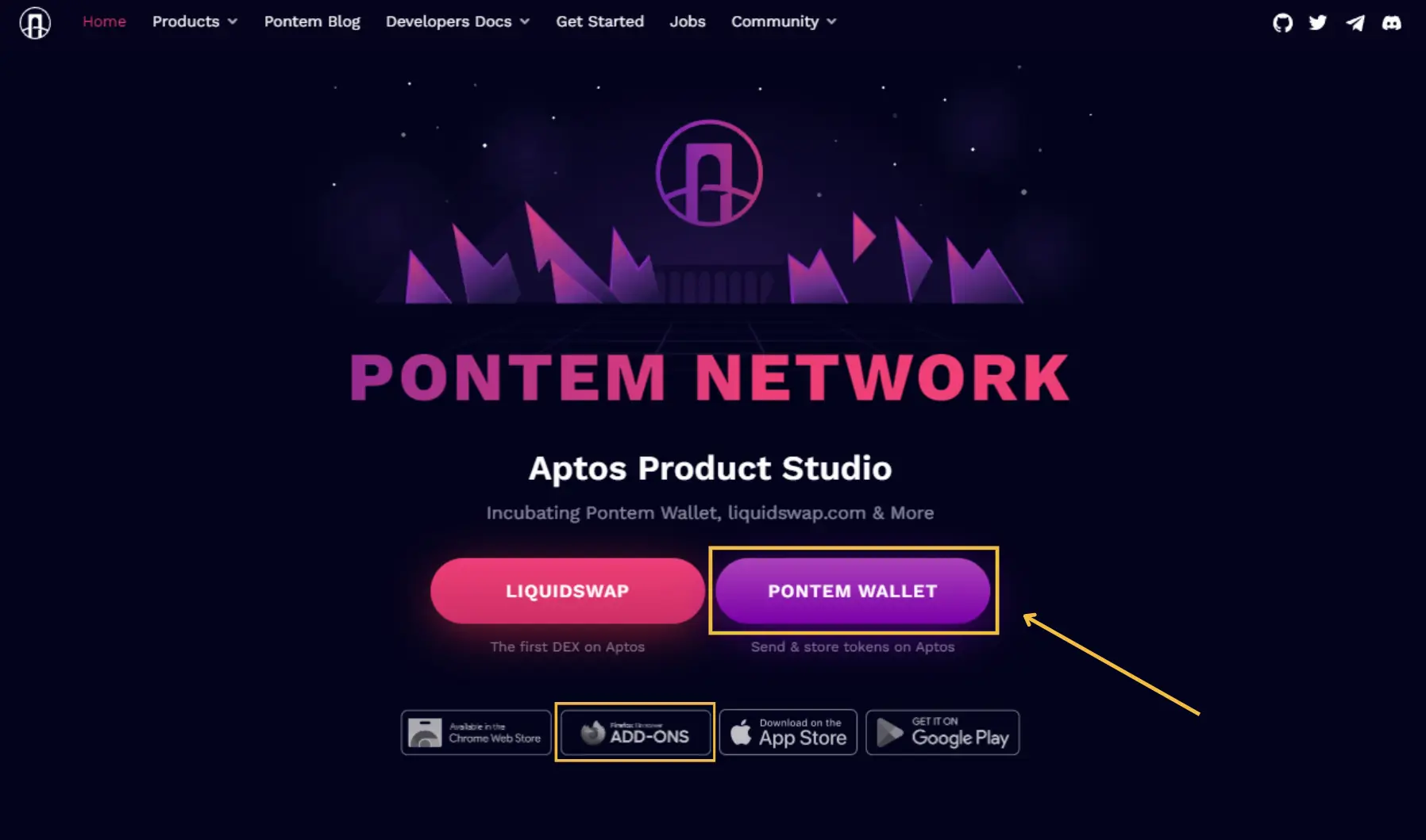 1 Pontem Network Download