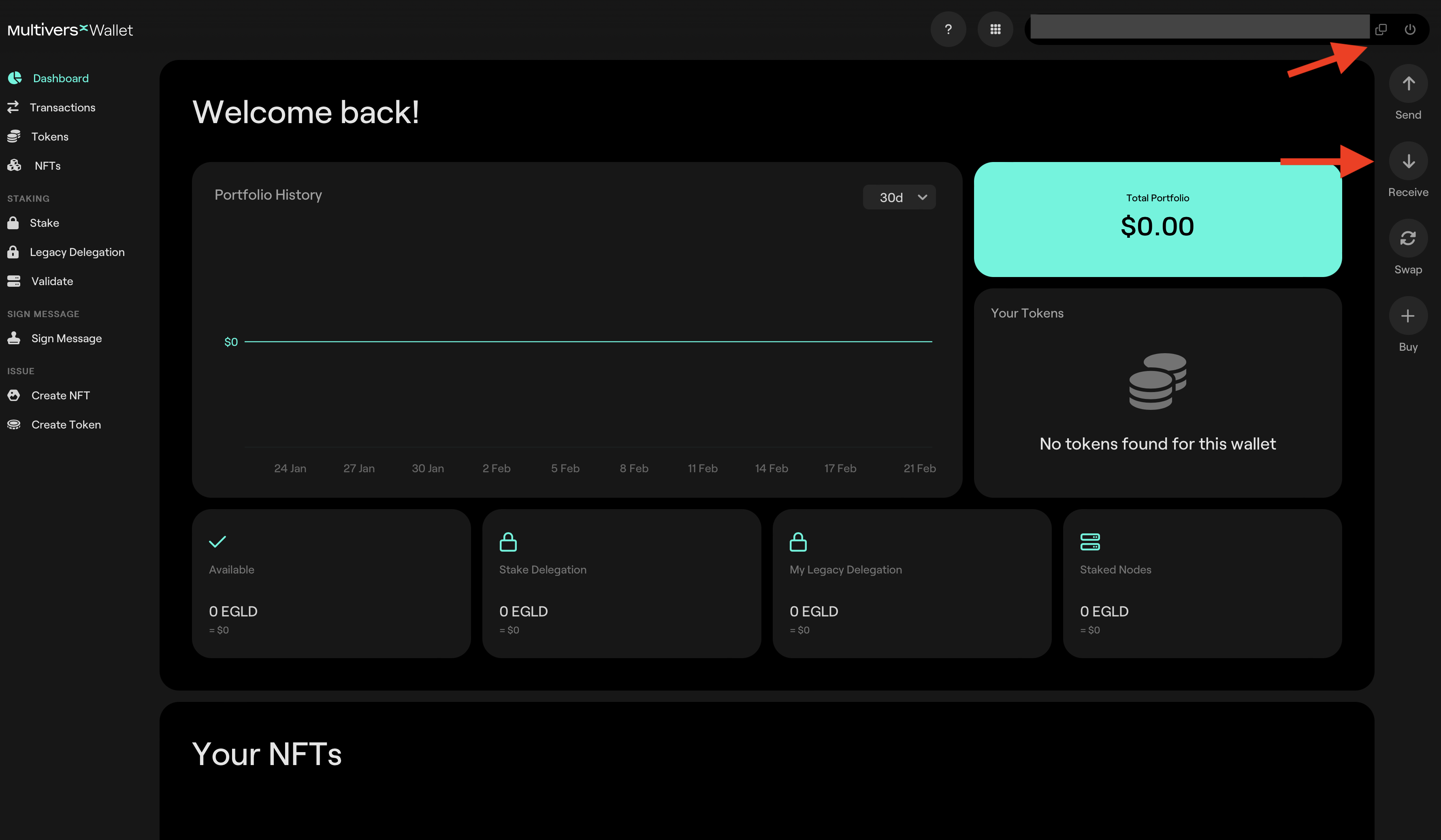 MultiversX Web wallet main menu, receive address button