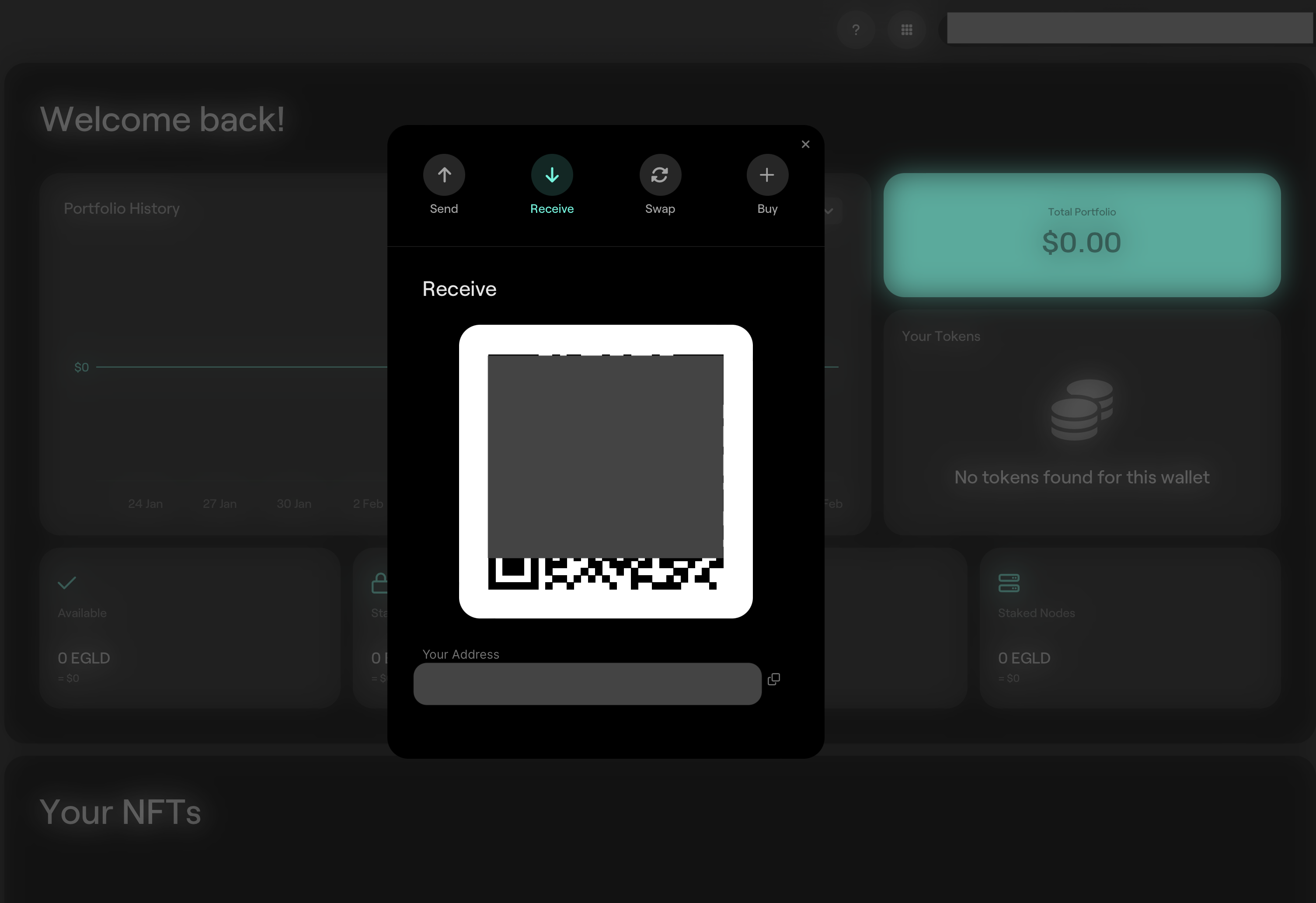 MultiversX Wallet QR code with MultiversX address