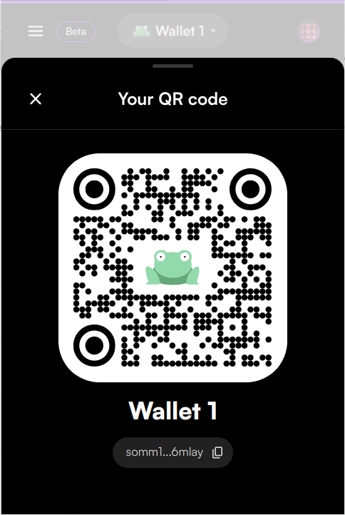 7 Your Wallet as QR Code