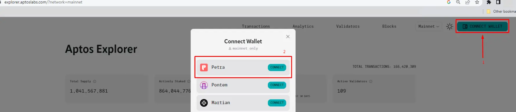 Connect Aptos Wallet to Aptos Explorer